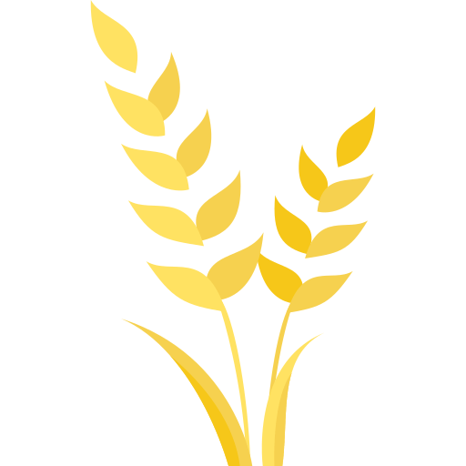 wheat
